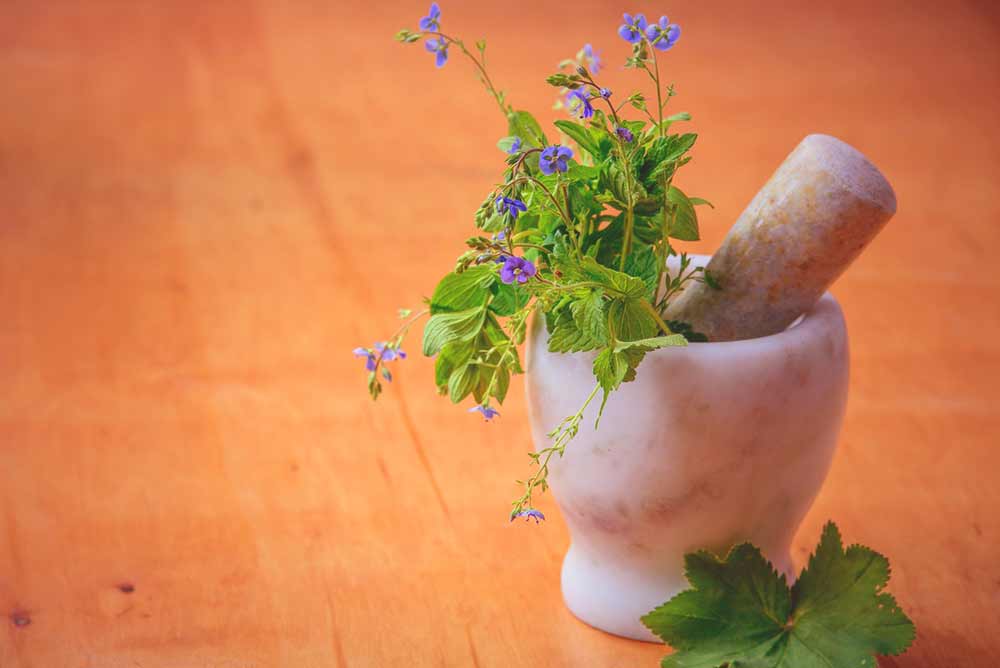 herbs.jpg